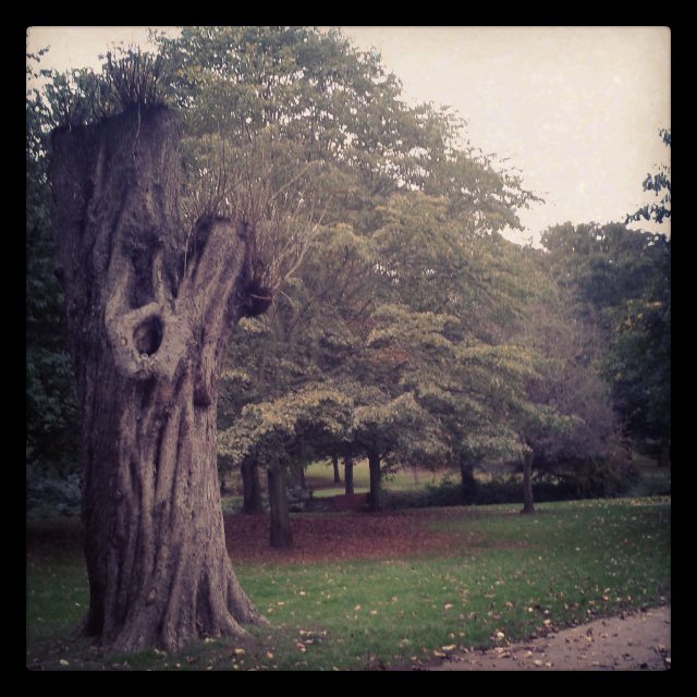 12046679_796166177195612_247494997156706392_n