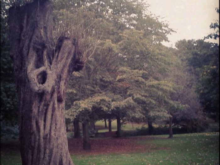 Dans un parc, aux alentours de chez moi.