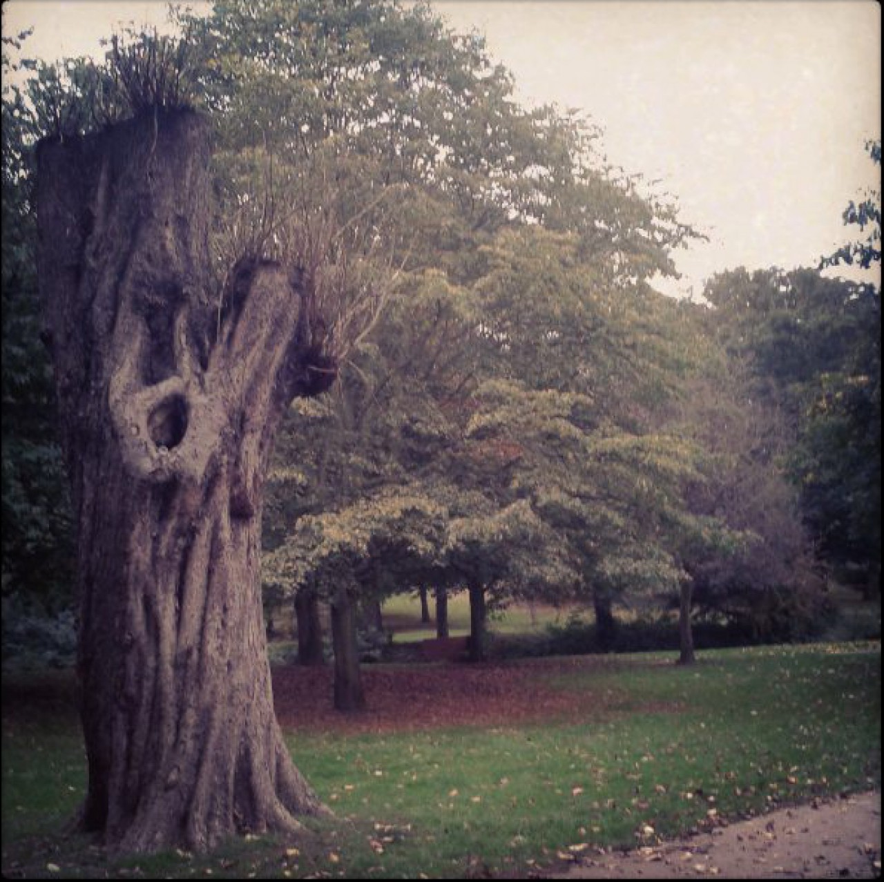 Dans un parc, aux alentours de chez moi.
