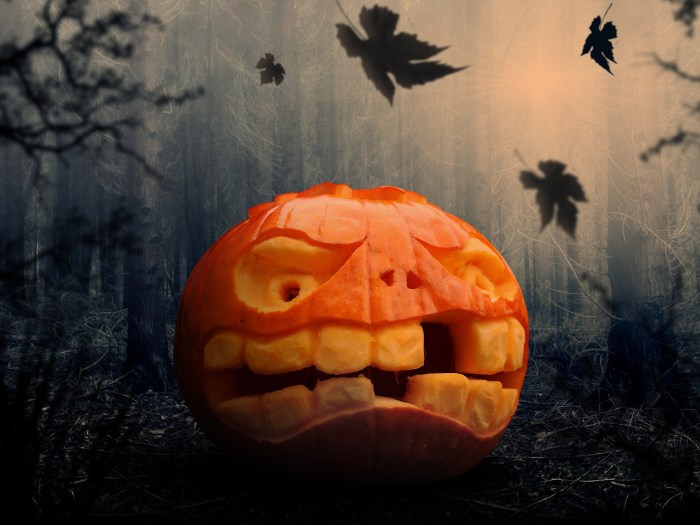 Une citrouille dans la forêt