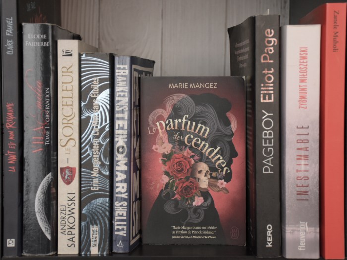 "Le Parfum des cendres" est un roman écrit par Marie Mangez